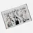 Phaidon
