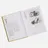 Phaidon