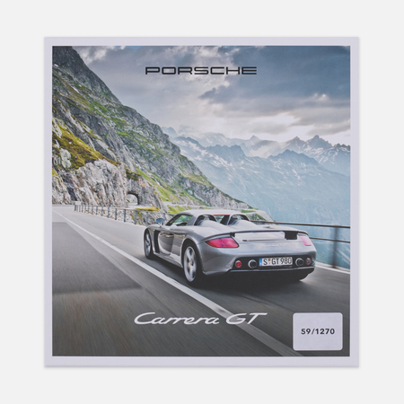 Книга Delius Klasing Porsche Carrera GT цвет серый 24990₽