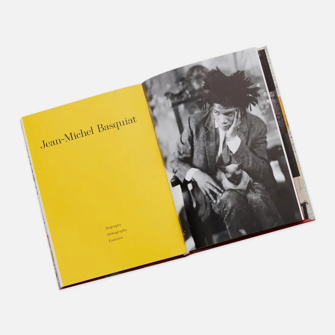 TASCHEN Книга Jean-Michel Basquiat. 40th Anniversary Edition