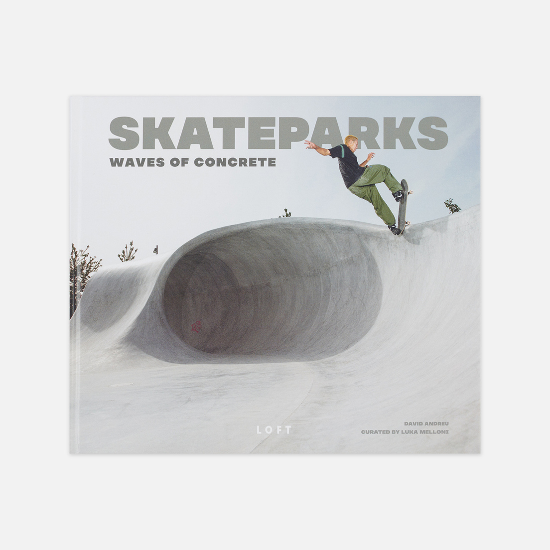 Loft Publications Книга Skateparks: Architecture On The Edge Of Paradise