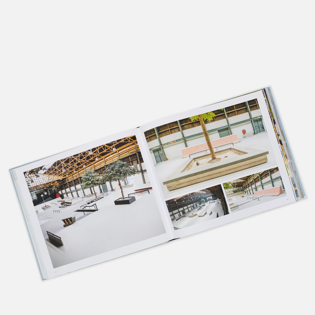 Loft Publications Книга Skateparks: Architecture On The Edge Of Paradise