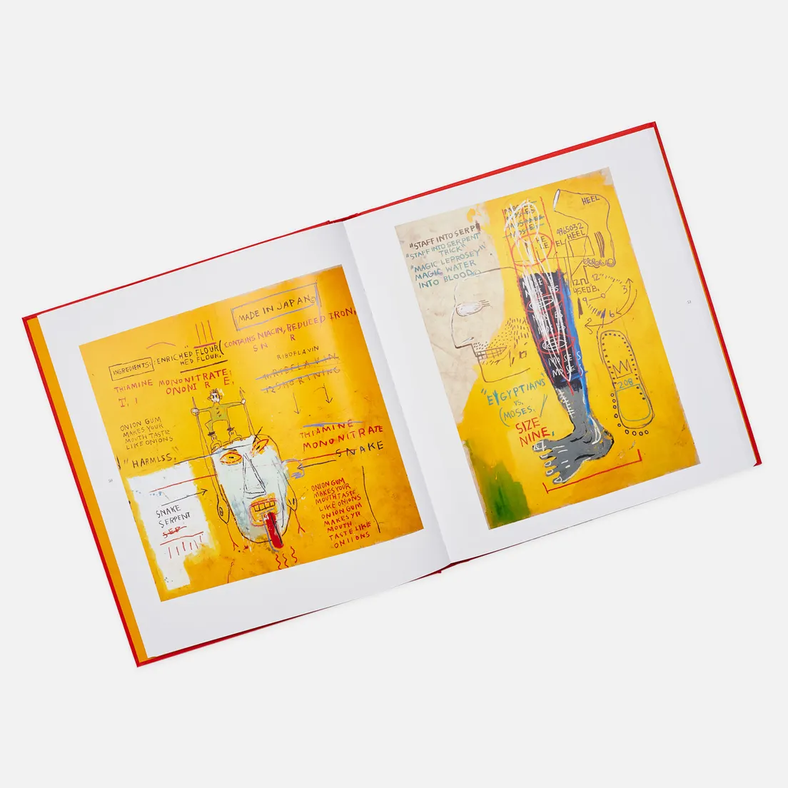 Skira Книга Jean-Michel Basquiat