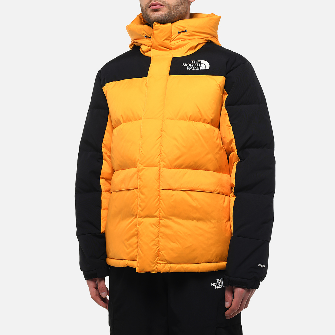 The North Face Мужской пуховик Himalayan Down