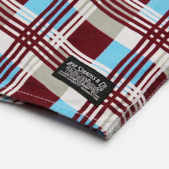 Мужская рубашка Levi's Skateboarding LS Woven Printed Burgundy/Blue
