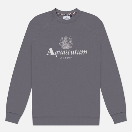 Мужская толстовка Aquascutum Active Big Logo Raglan, цвет серый, размер XL