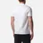 Aquascutum