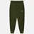 Aquascutum