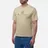 Aquascutum
