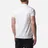 Aquascutum