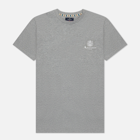 Мужская футболка Aquascutum Beach Basic Small Logo, цвет серый, размер XL