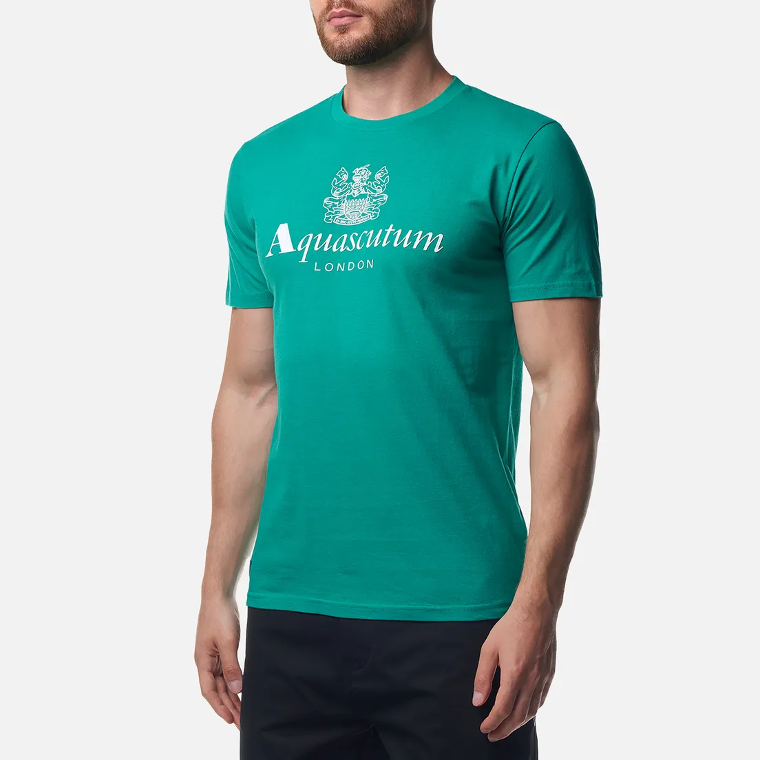 Aquascutum Мужская футболка Beach Basic Big Logo