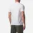 Aquascutum