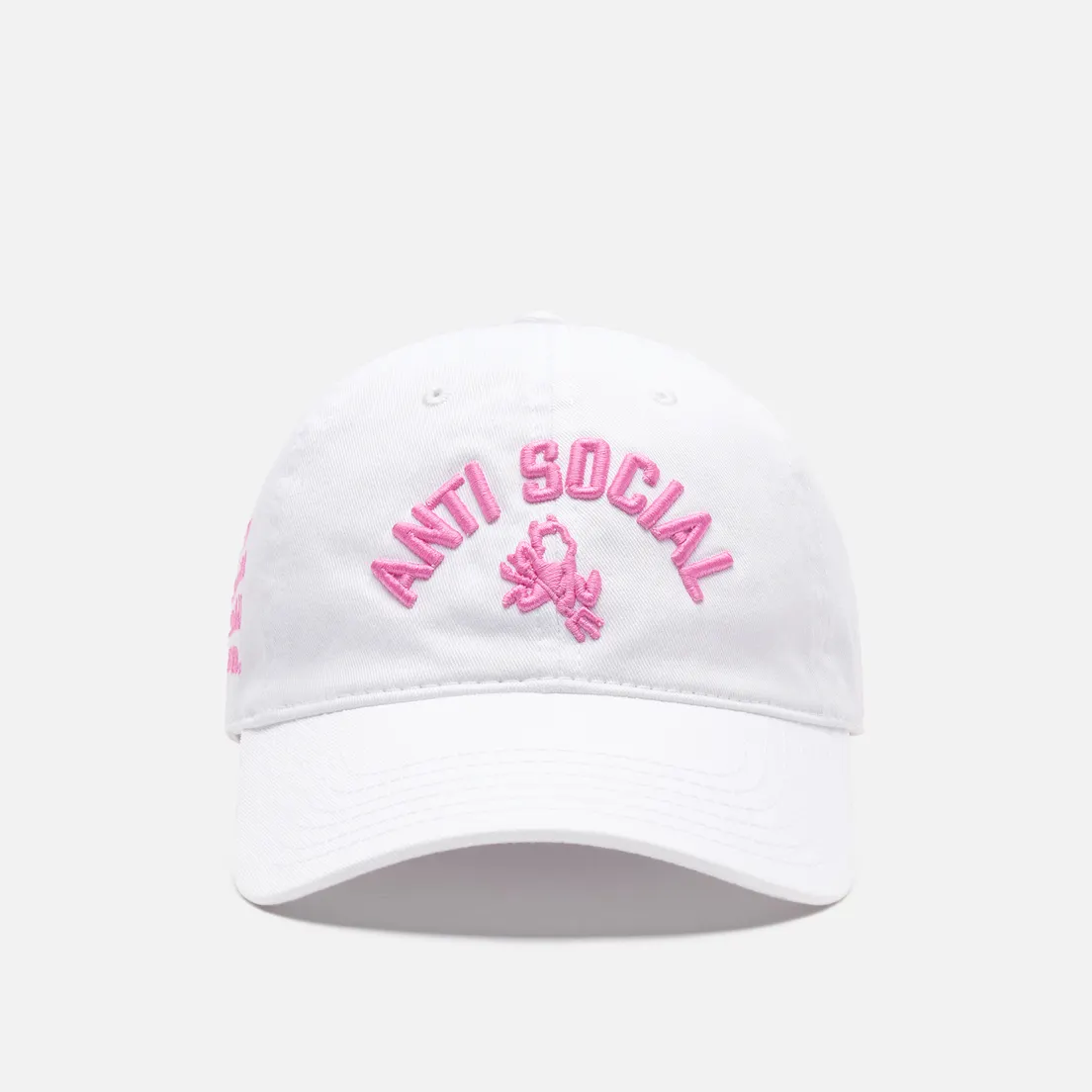 Anti Social Social Club Кепка ASSC Devil