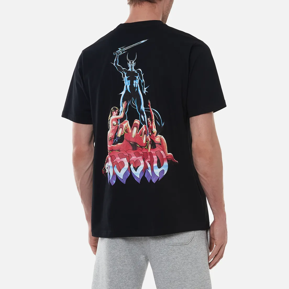 ASSID Мужская футболка ASSID Lord