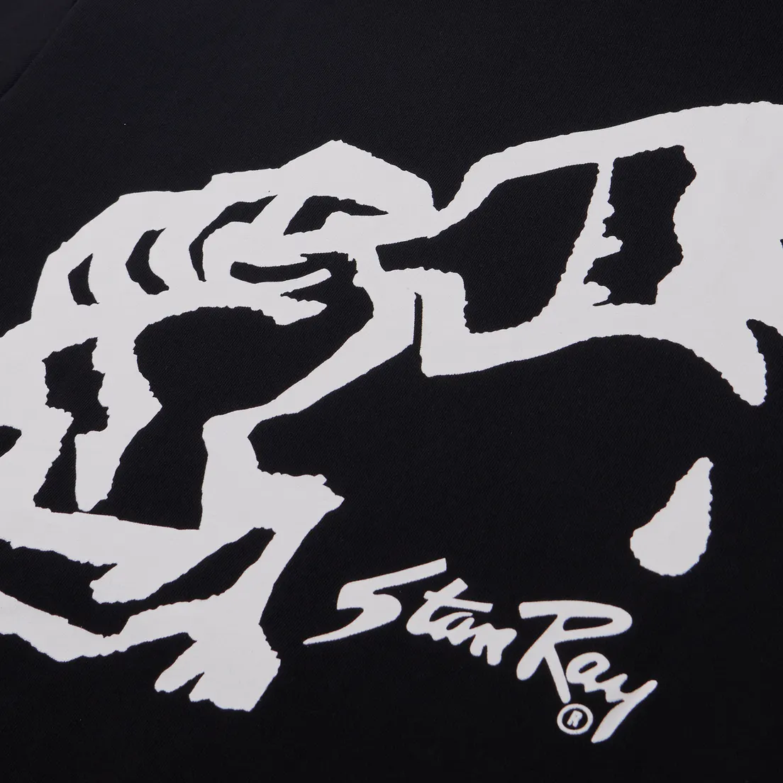 Stan Ray Мужская толстовка Solidarity Hoodie