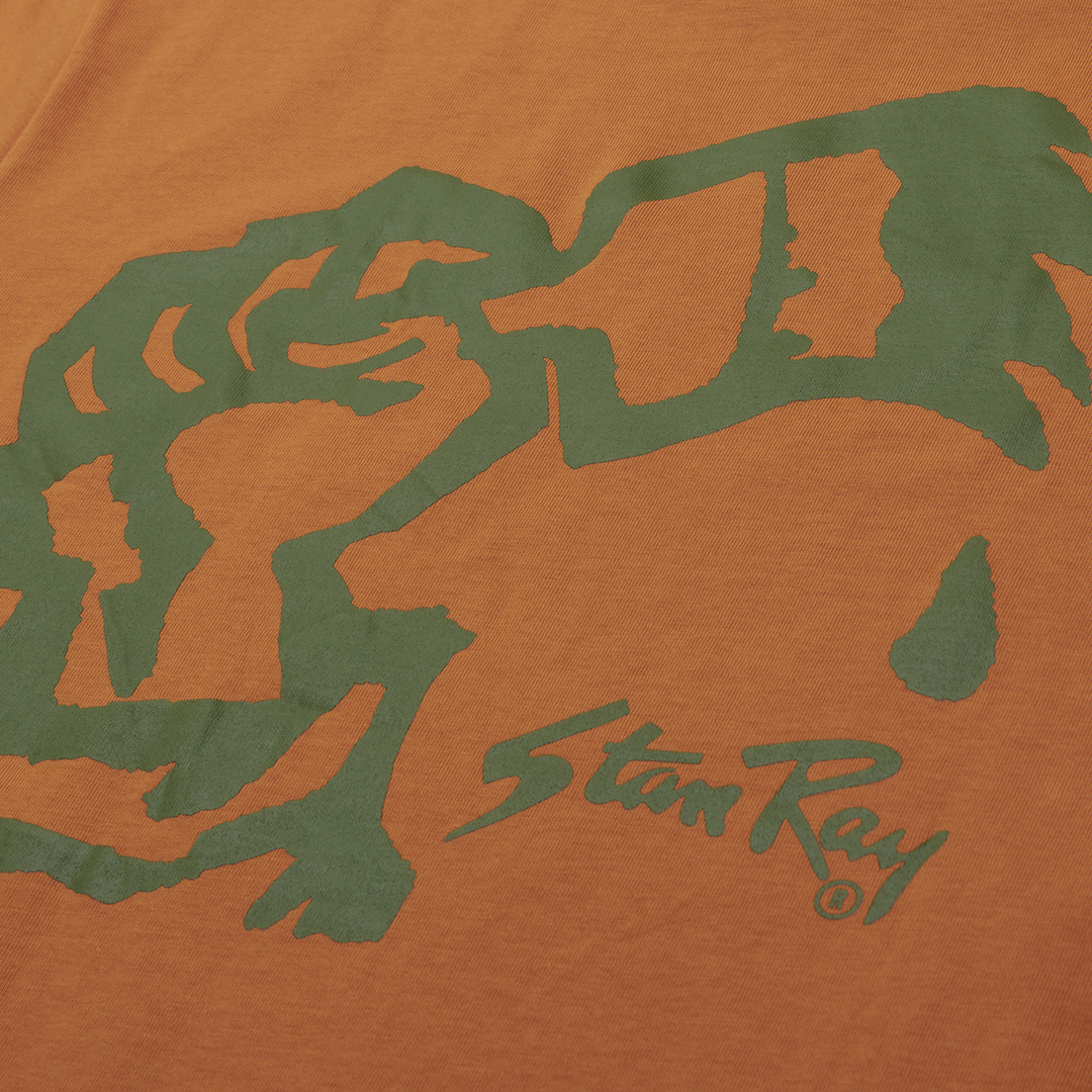 Stan Ray Мужская футболка Solidarity