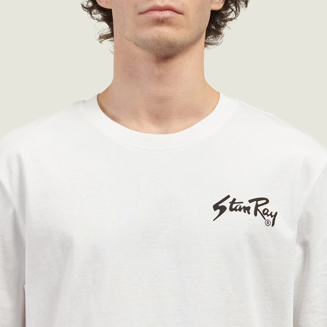 Stan Ray Мужская футболка Stan OG