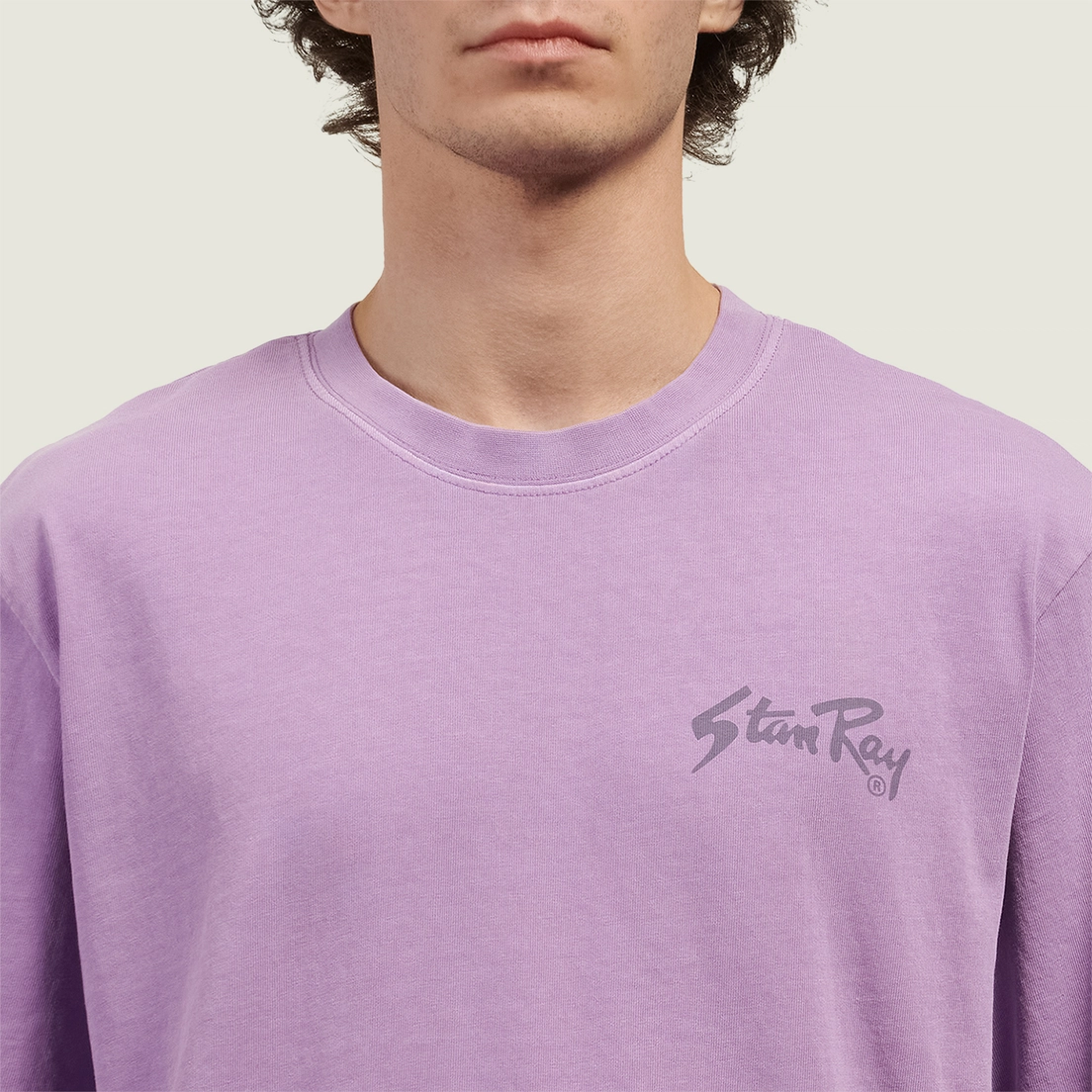 Stan Ray Мужская футболка Stan OG