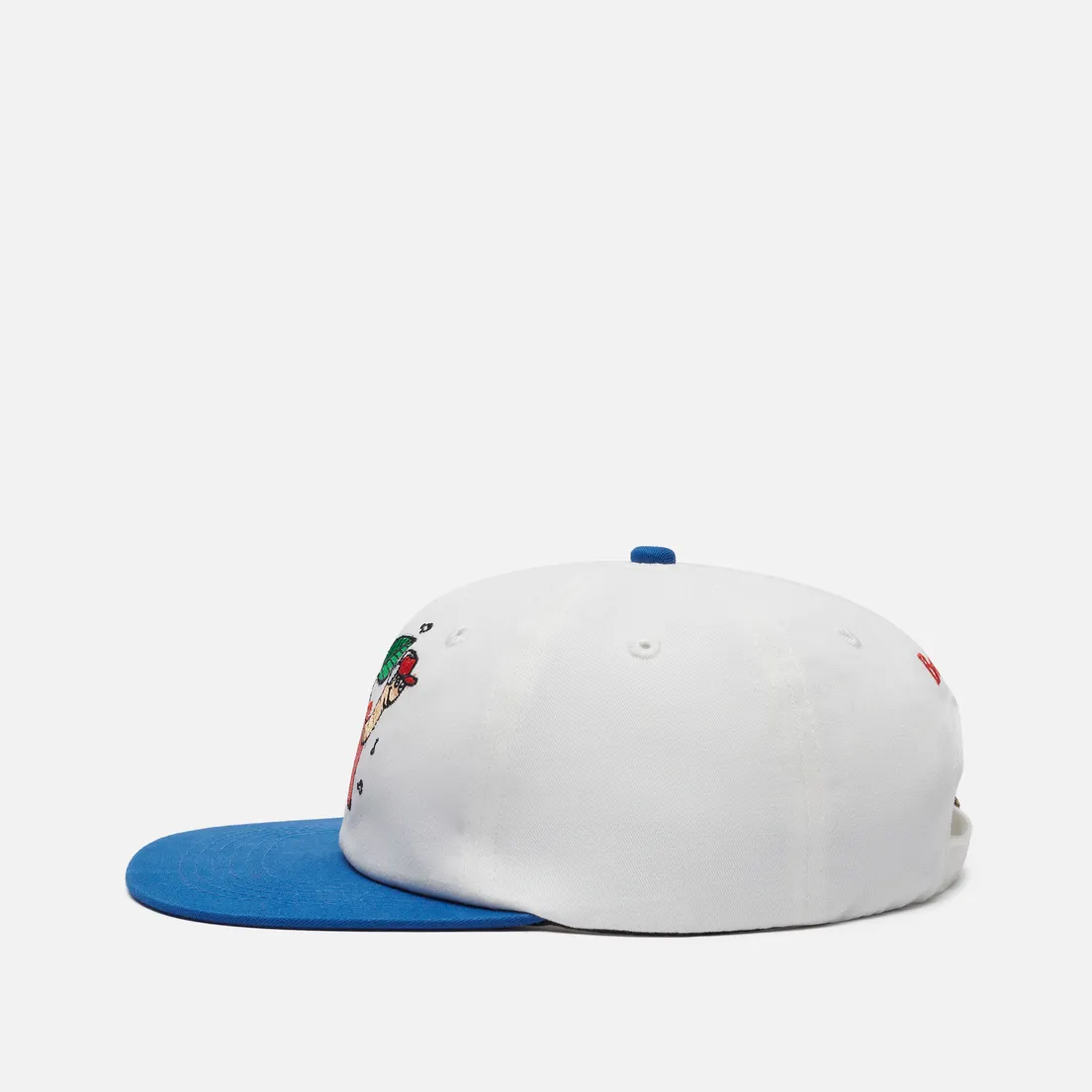 Butter Goods Кепка Worm 6 Panel