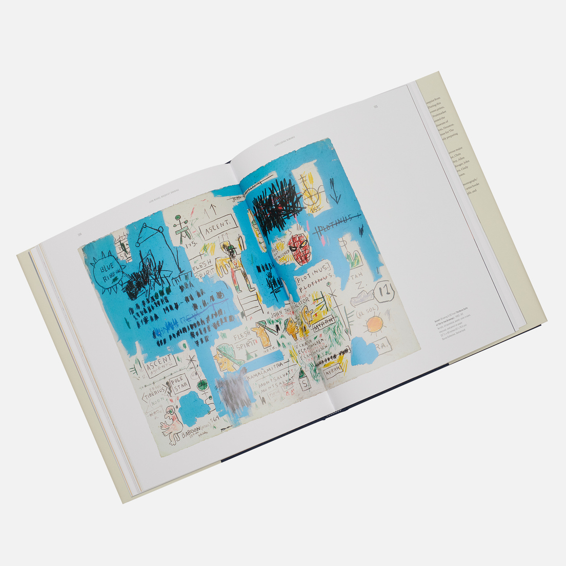 Rizzoli Книга Jean-Michel Basquiat Drawing: Work From The Schorr Family Collection