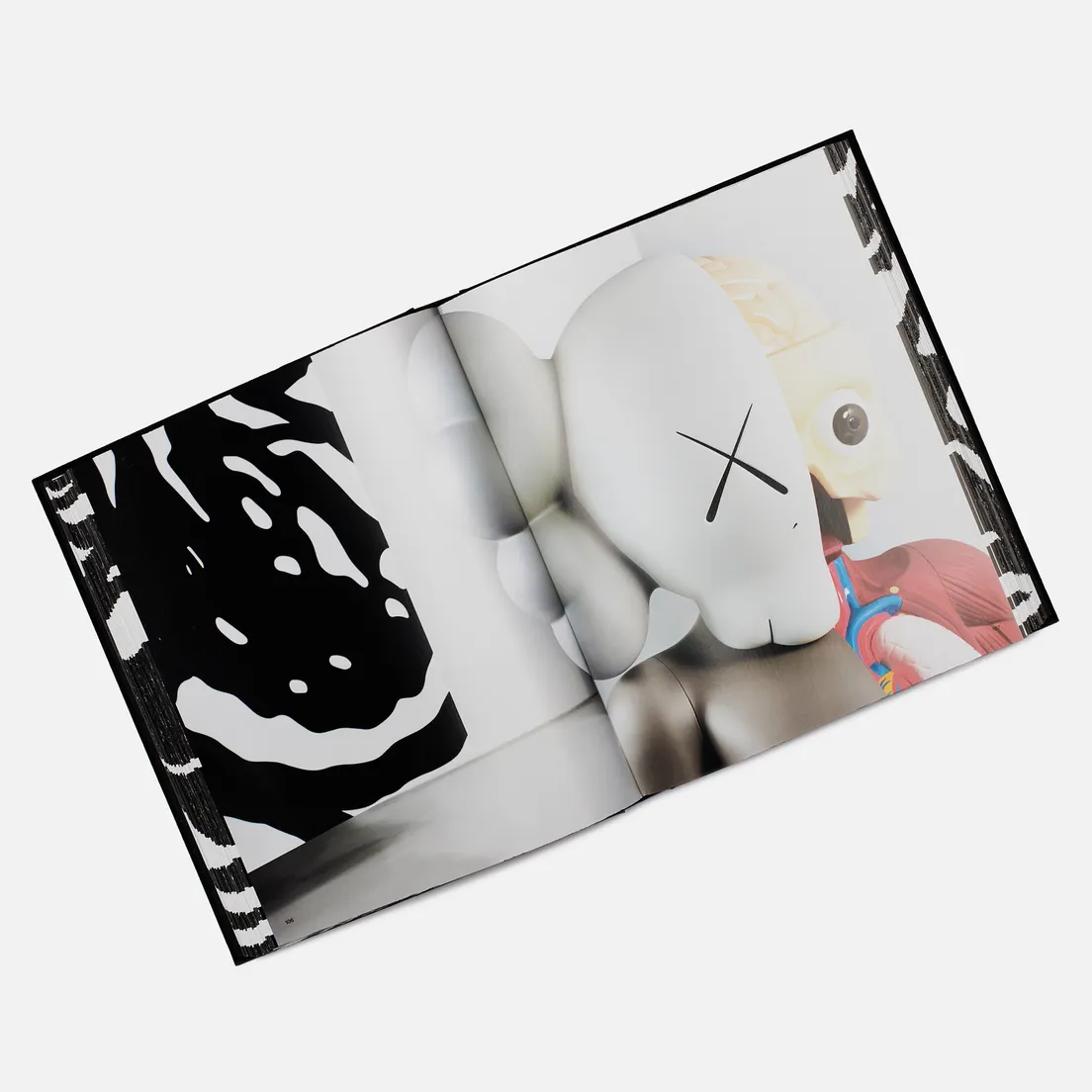 Silvana Editoriale Книга Kaws: He Eats Alone