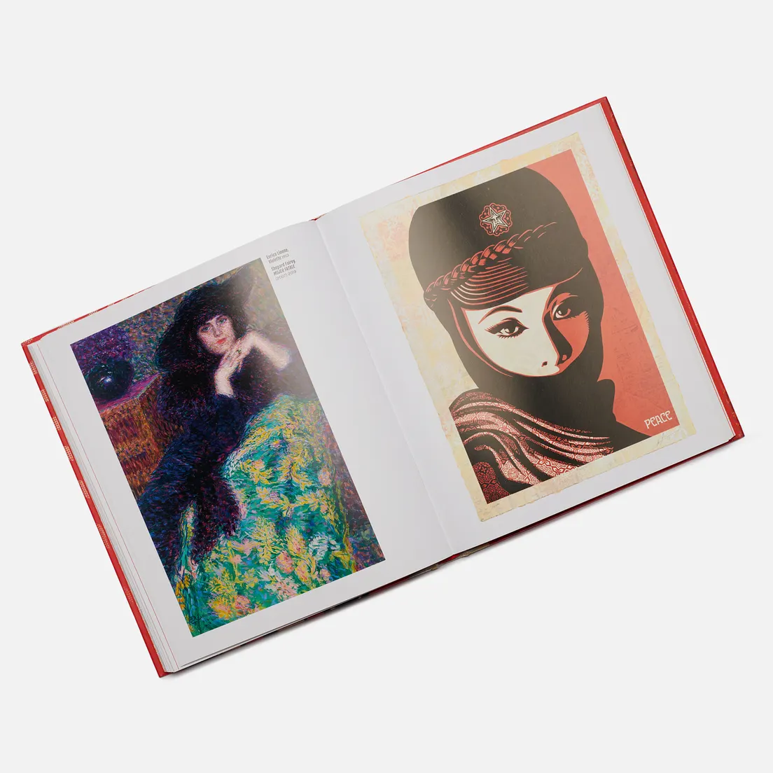 Silvana Editoriale Книга Shepard Fairey: 3 Decades Of Dissent