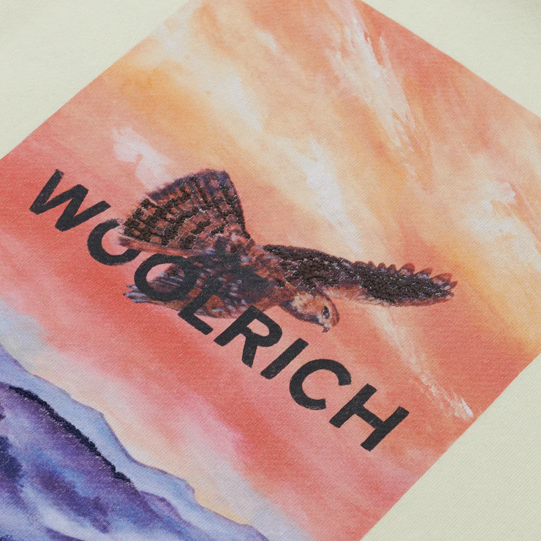 Woolrich Мужская толстовка Printed Duck Hooded Fleece