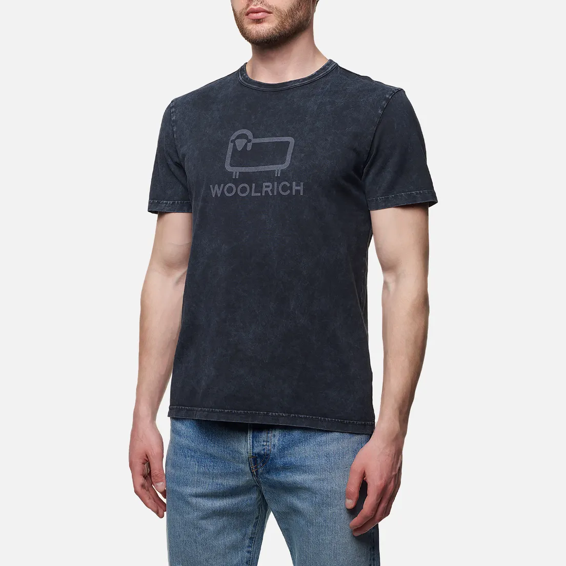 Woolrich Мужская футболка Macro Logo