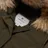 Woolrich
