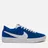Nike SB