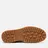 CLAE