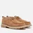 CLAE