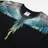 Marcelo Burlon