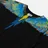 Marcelo Burlon