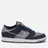Nike SB
