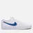 Nike SB