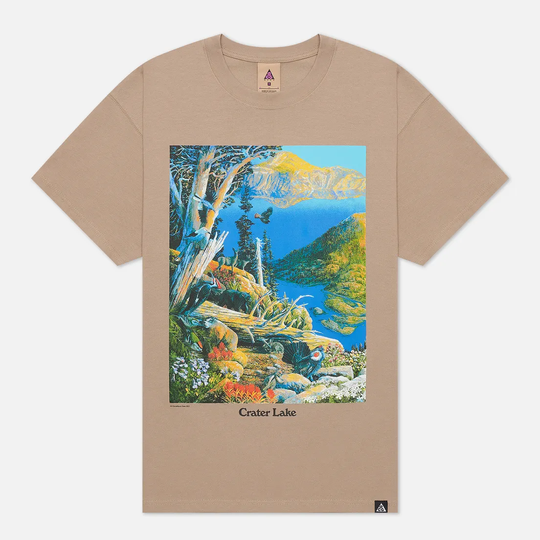 Nike Мужская футболка ACG NRG Crater Lake