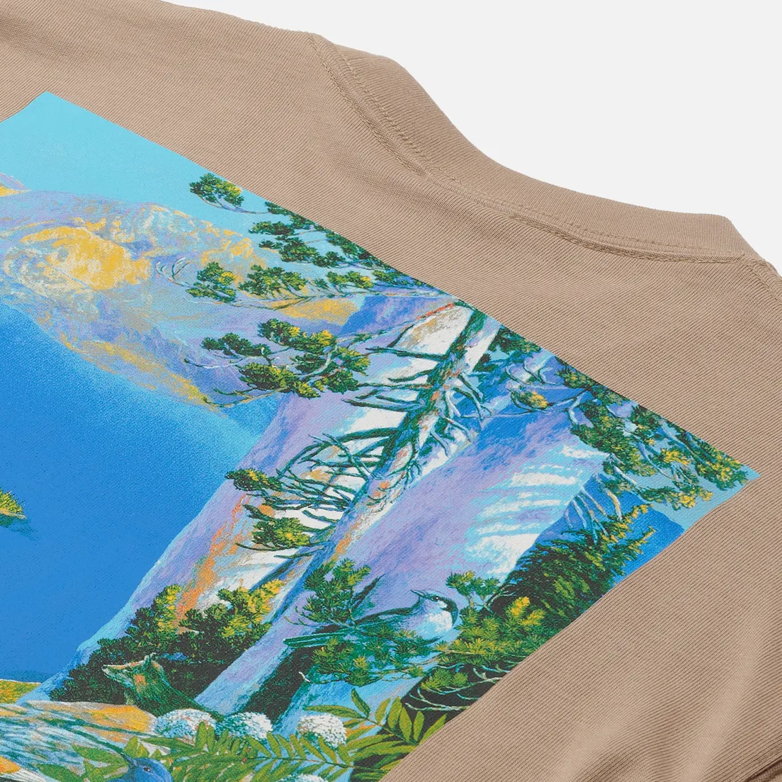 Nike Мужская футболка ACG NRG Crater Lake