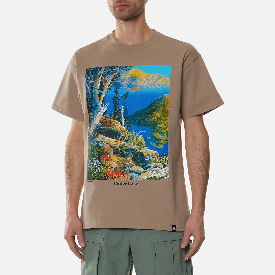 Nike Мужская футболка ACG NRG Crater Lake
