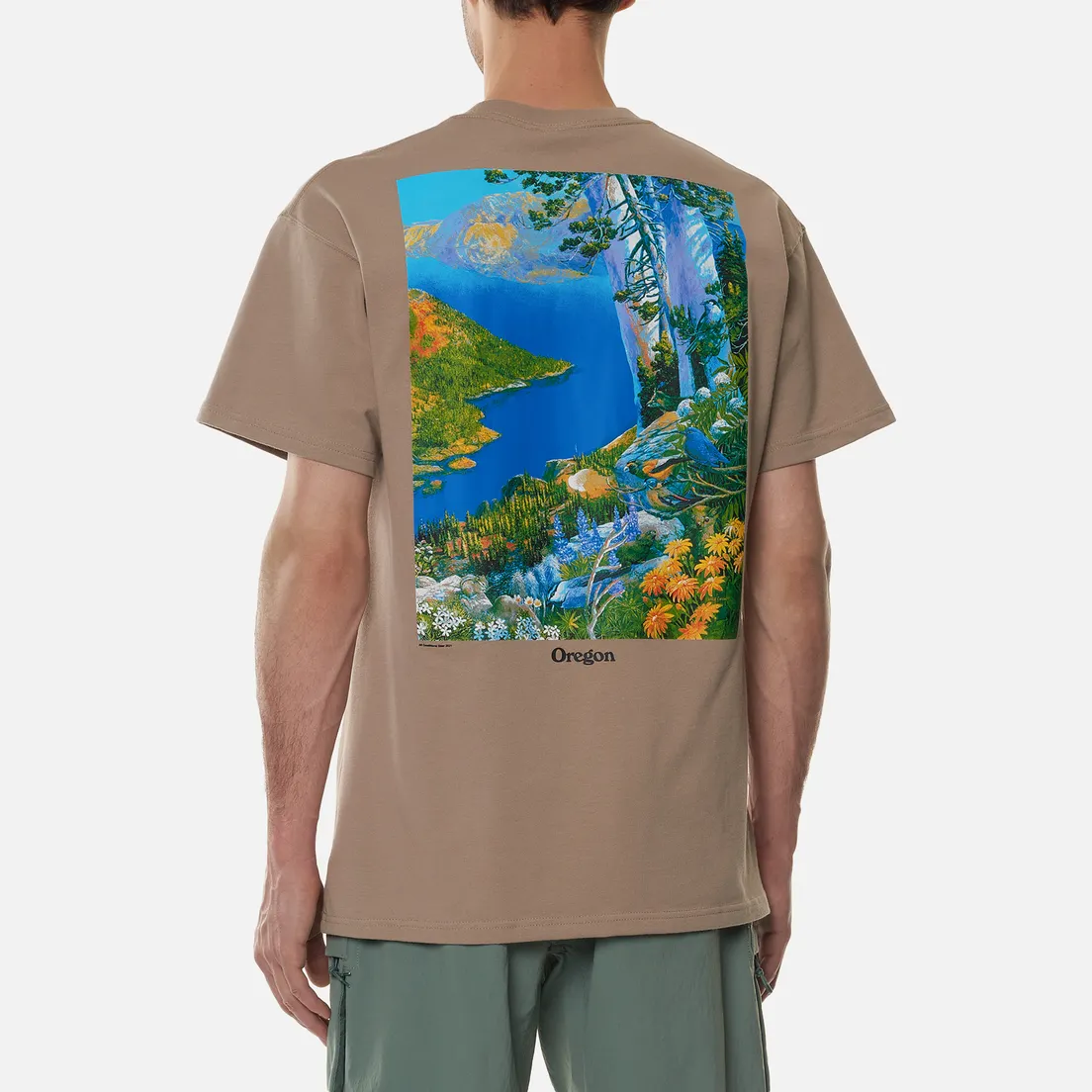 Nike Мужская футболка ACG NRG Crater Lake