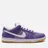 Nike SB