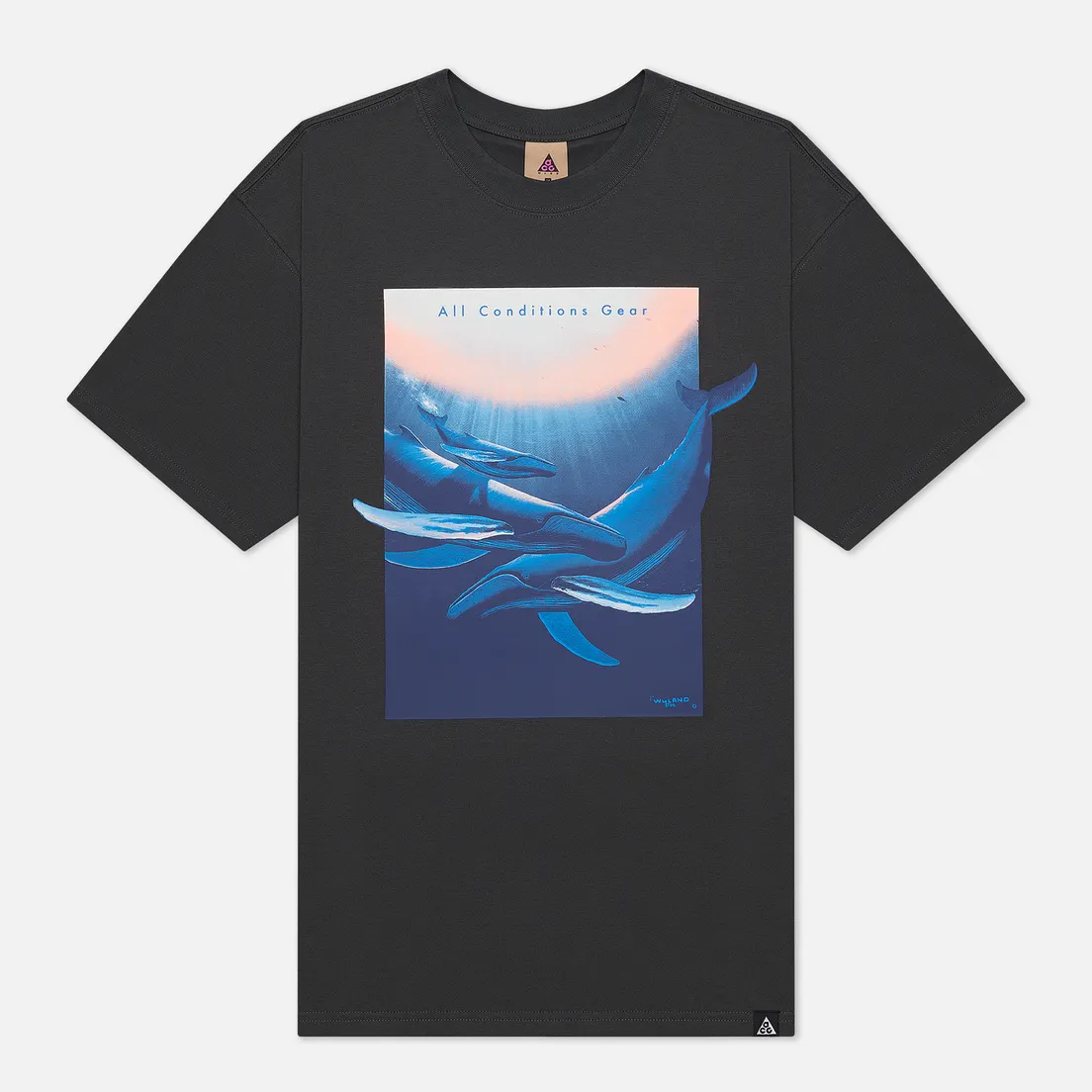 Nike Мужская футболка ACG NRG Wyland