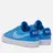 Nike SB