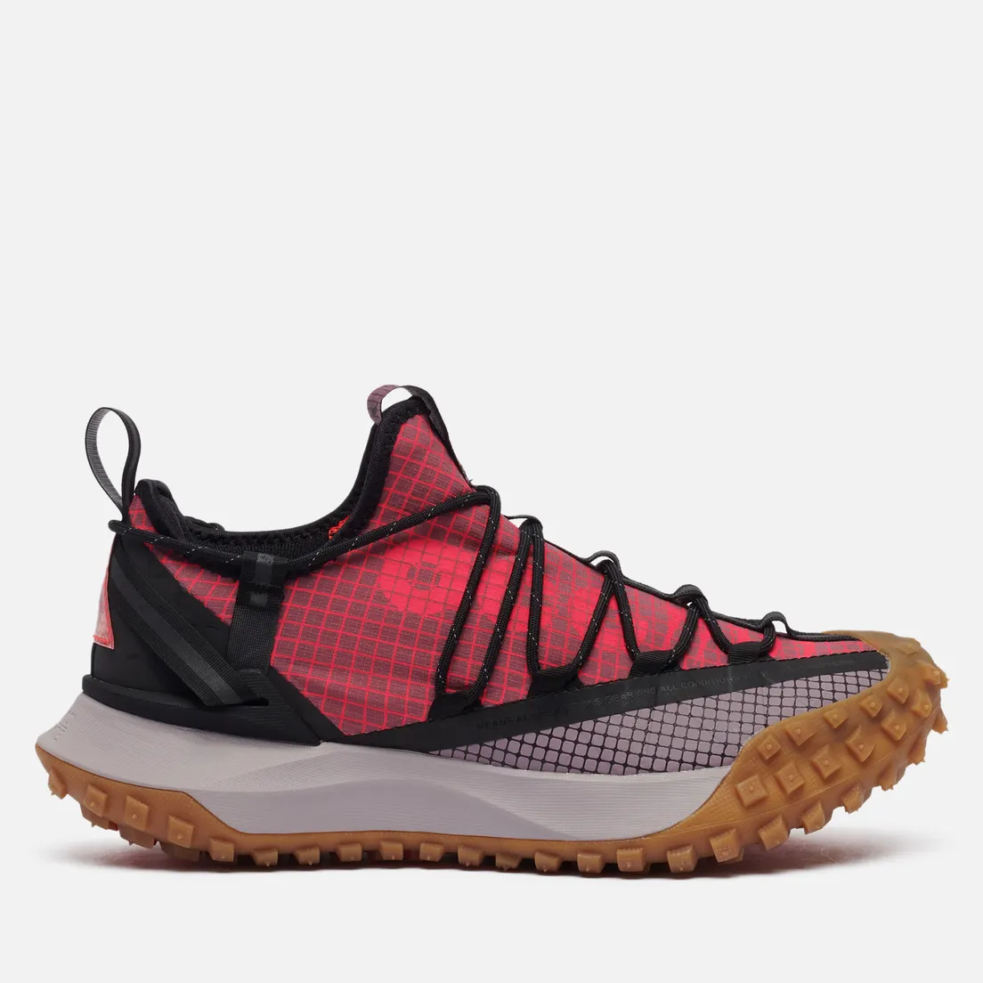 Nike Кроссовки ACG Mountain Fly Low