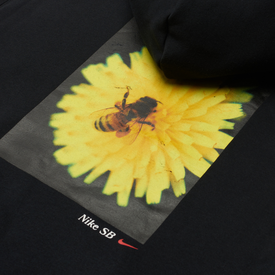 Nike SB Мужская толстовка Bee Hoodie