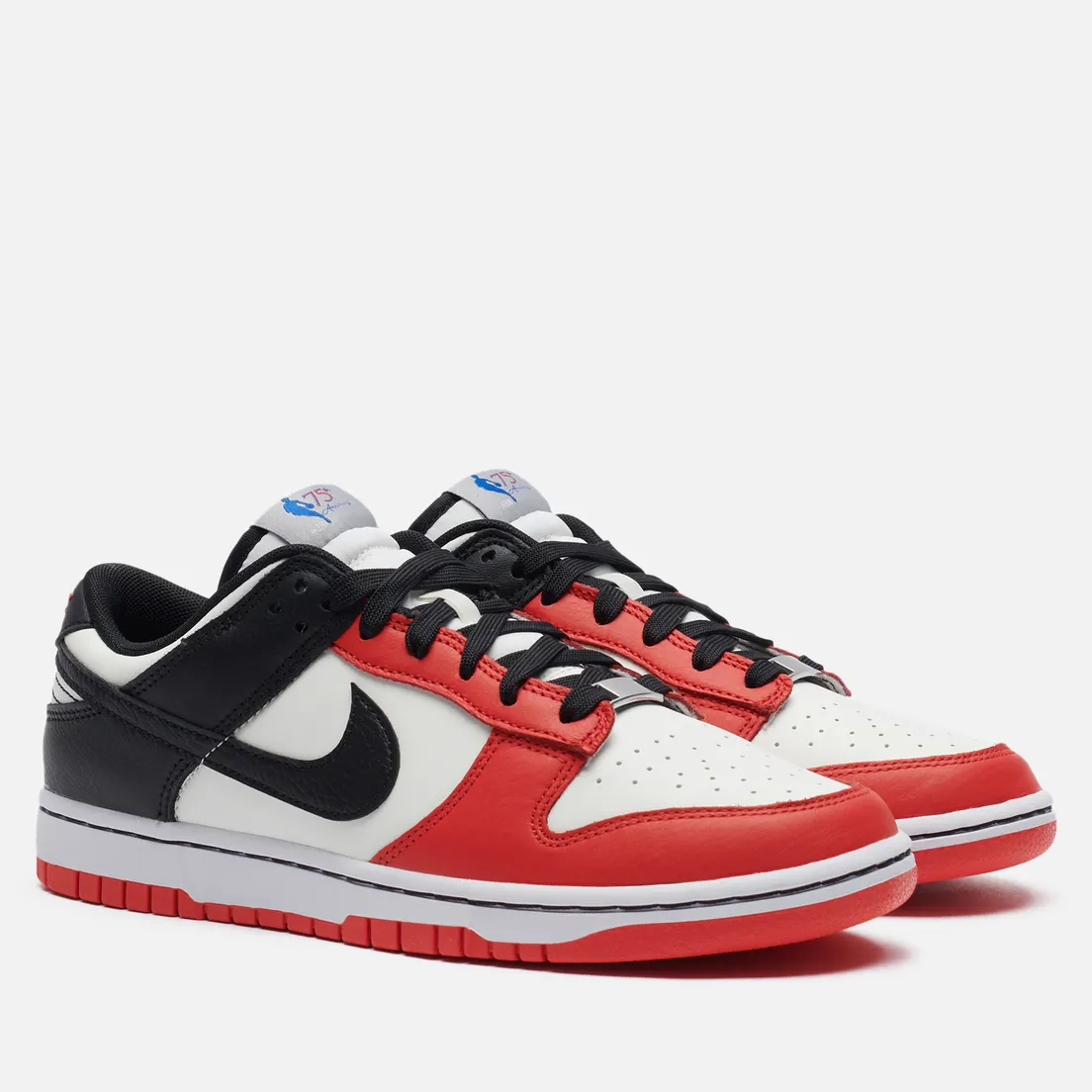 Nike Мужские кроссовки x NBA Dunk Low Retro Embroidered