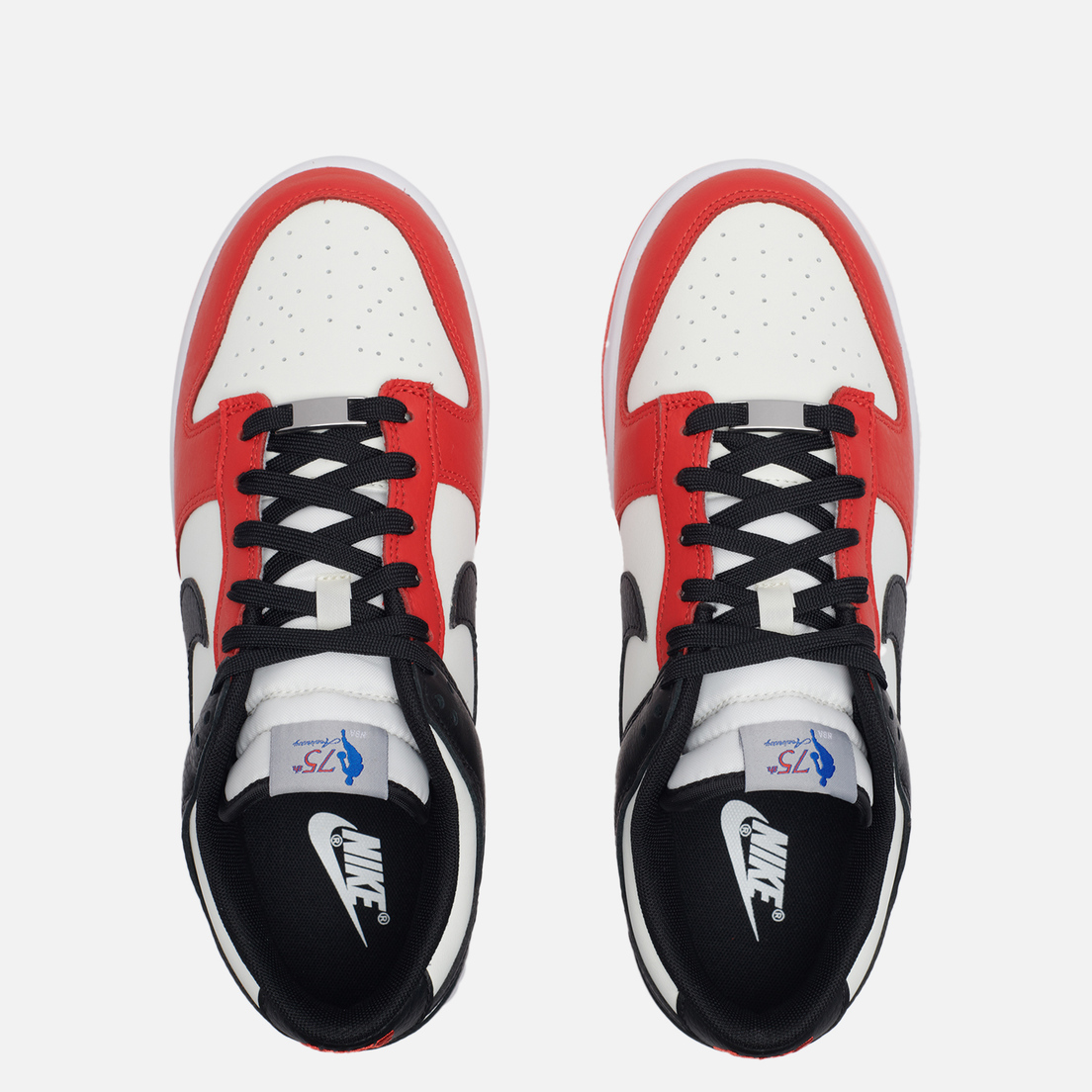Nike Мужские кроссовки x NBA Dunk Low Retro Embroidered