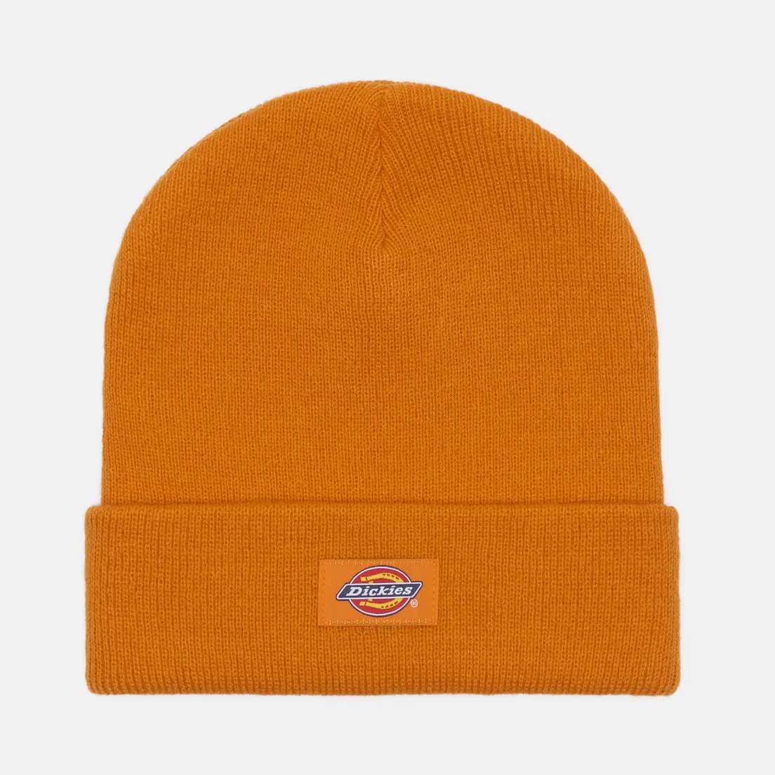 Dickies Шапка Gibsland