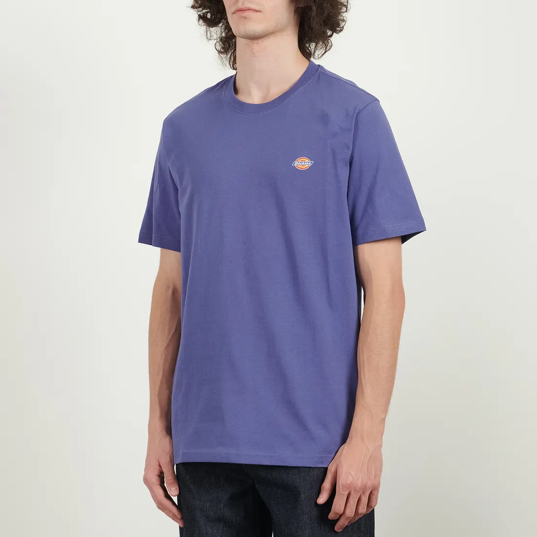 Dickies Мужская футболка Mapleton